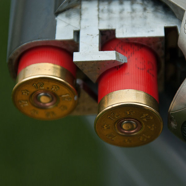 Licencias de armas y caza - Cartuchos de escopeta